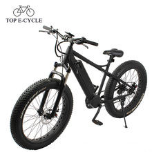 Electric chopper e bike fat bike suspension fork